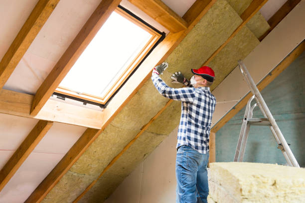 Types of Insulation We Offer in Winchester, NV